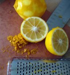 042312meyer lemon 4
